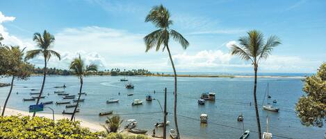 A beach with numerous boats anchored in calm waters, surrounded by palm trees and a clear sky.