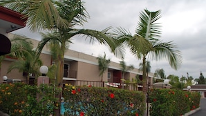 A hotel with a pool, surrounded by palm trees and a hedge with red flowers. - Budget Inn Anaheim (Anaheim)