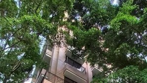 A multi-story building with balconies and arched windows. - Aparta Estudio Para Nómadas Digitales en Laureles (Medellín)