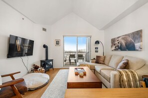 Smart TV, fireplace, video games, books