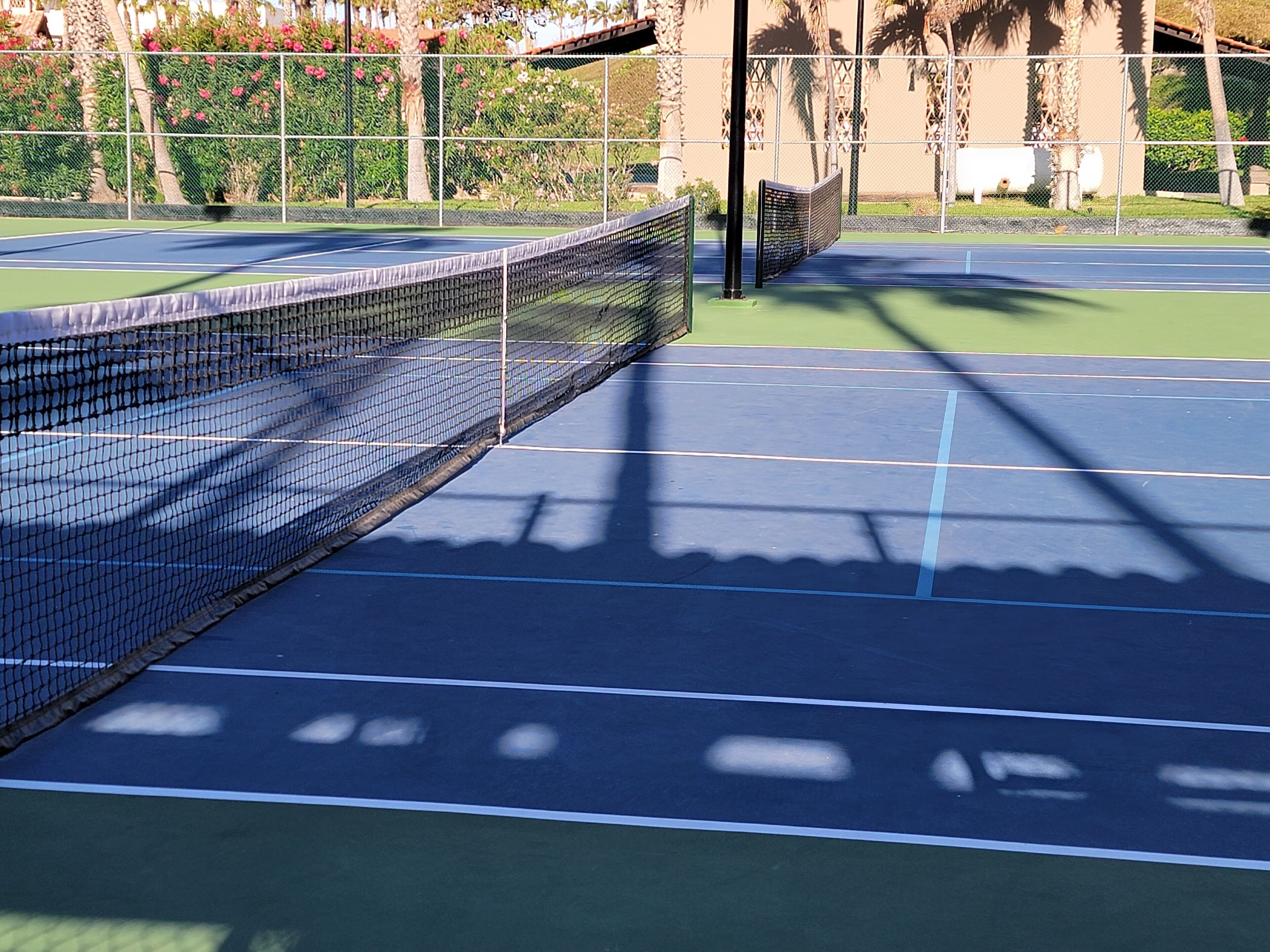 Un court de tennis avec un filet, entouré d’une clôture et de palmiers.