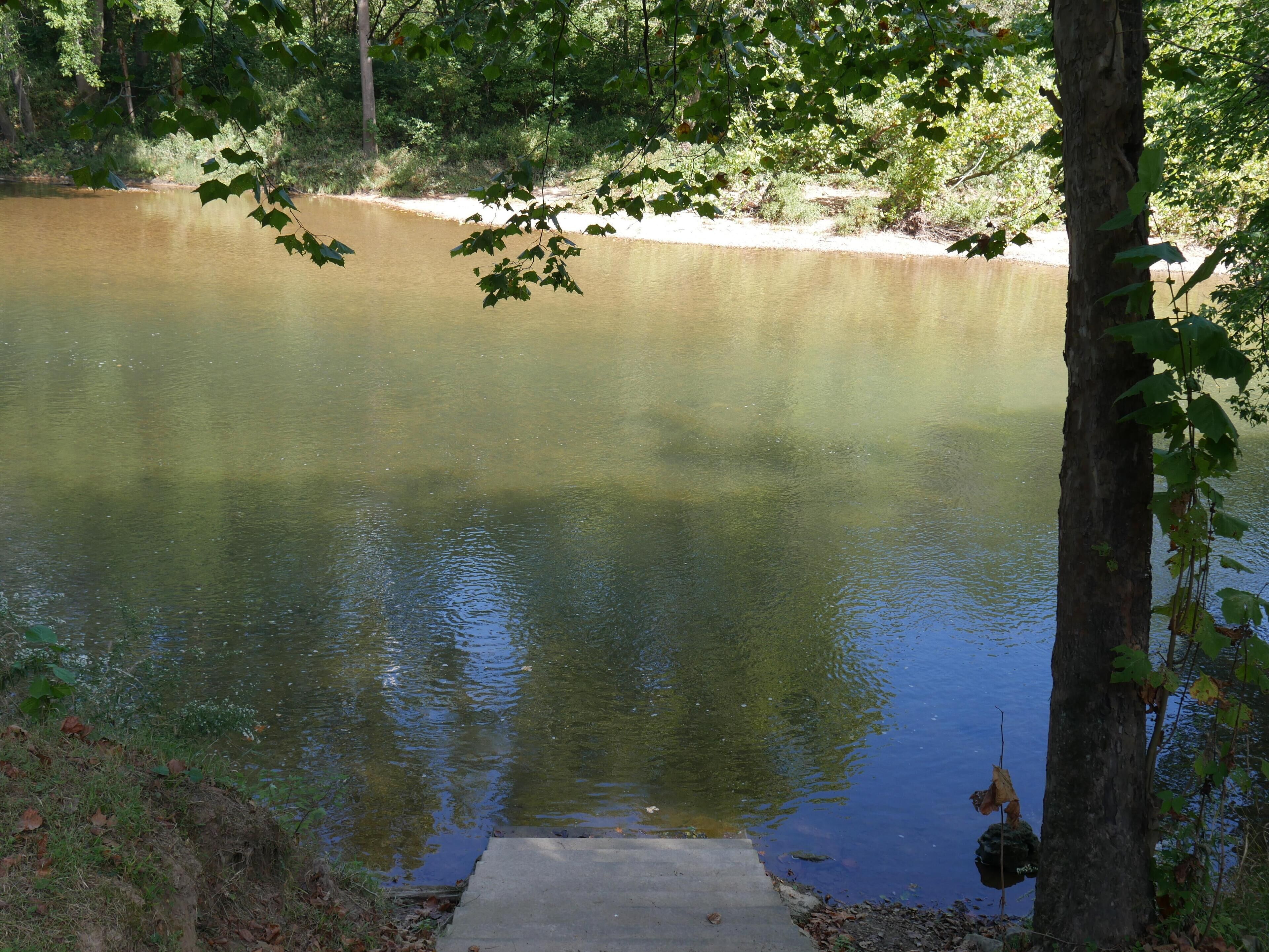 A concrete pathway leading to a calm body of water surrounded by trees.