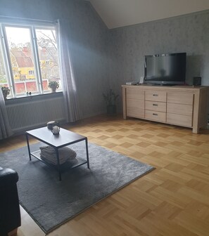 TV connectée, cheminée, jeux vidéo, livres