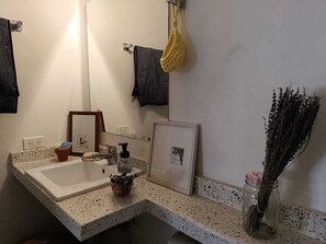 Bathroom features a sink, mirror, and framed artwork, with a potted plant and amenities nearby.