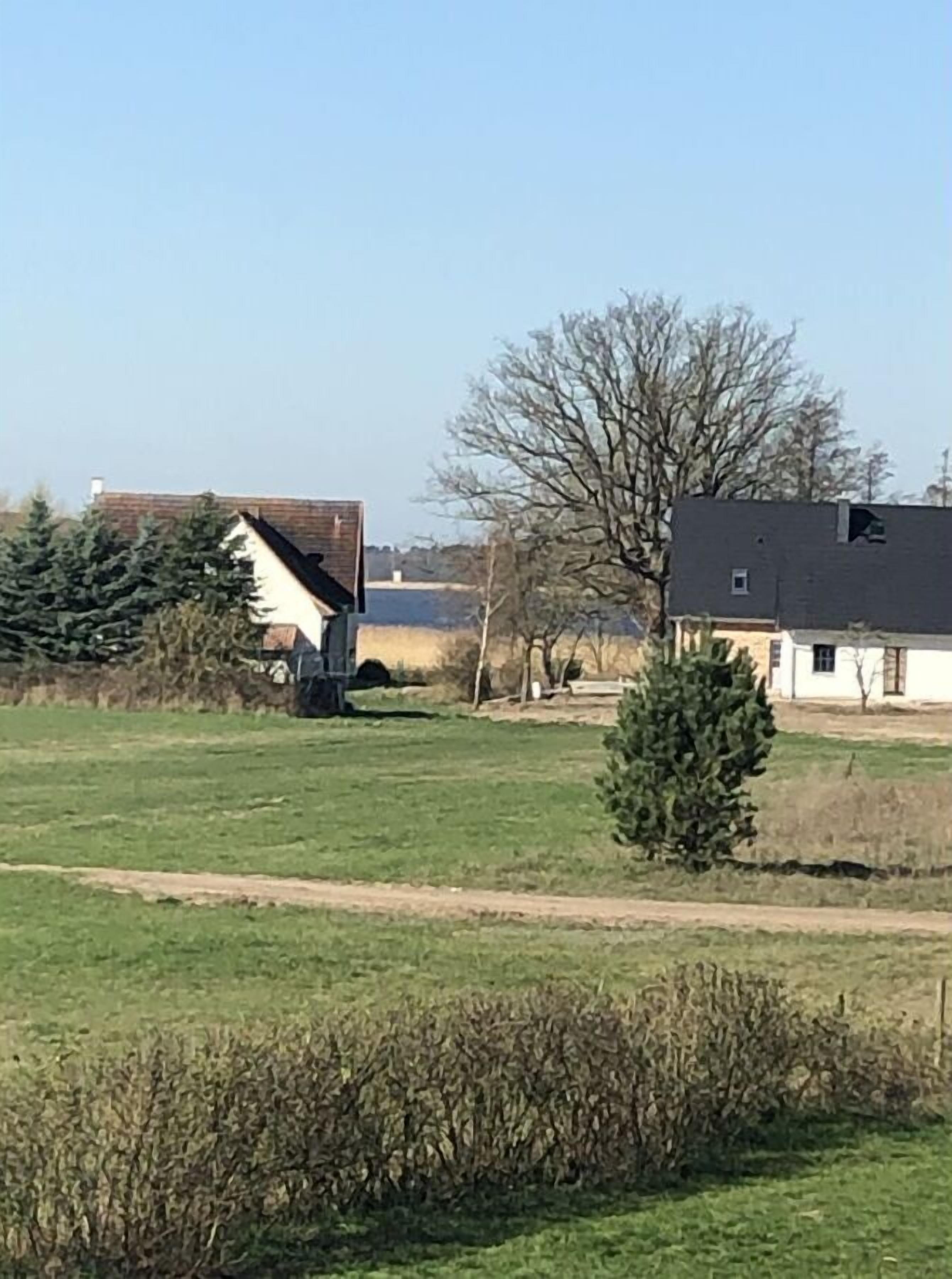 Un paysage rural avec une maison blanche, une grange et un grand arbre.