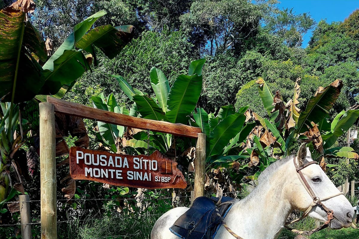 Un caballo blanco con arnés y cabezada, parado frente a un letrero de madera que dice "POUSADA SITO MONTE SINAI".