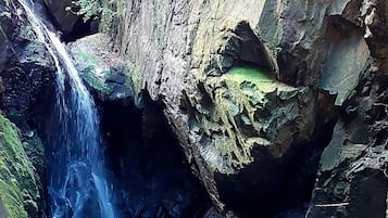 Tours ecológicos