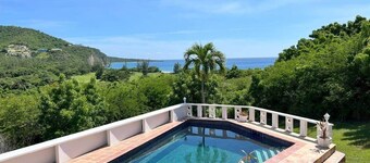 Bananaquit at the beach!