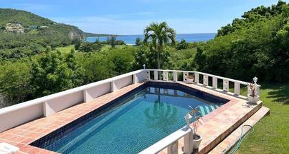 Bananaquit at the beach!