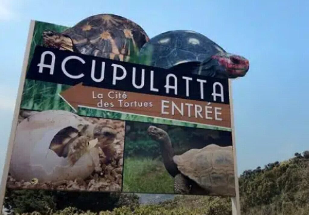 Ein Schild mit der Aufschrift 'ACUPULATTA' und 'ENTREE', das einen Eingang anzeigt.