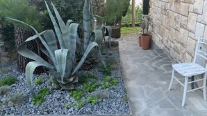 A garden area with a large agave plant, a potted plant, and a white metal chair. - Great 4-bedroom villa with heated pool (Duće)