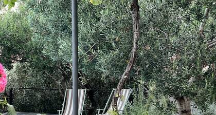 Great 4-bedroom villa w heated eco pool