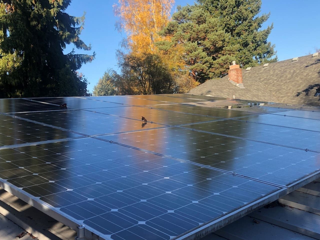 Solar panels on a rooftop with trees and a chimney in the background.