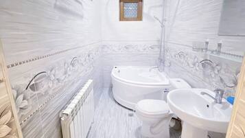 Standard Twin Room | Bathroom | Hair dryer, slippers