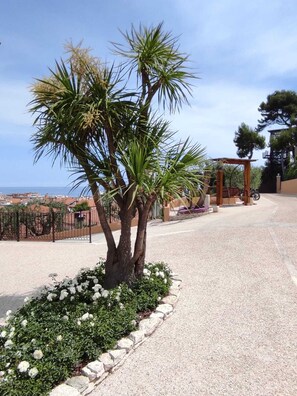  Área da propriedade