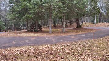 A forested area with a paved path and a grassy area with fallen leaves.