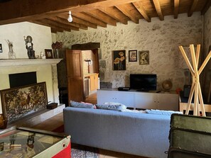 Smart TV, fireplace, video games, computer monitors