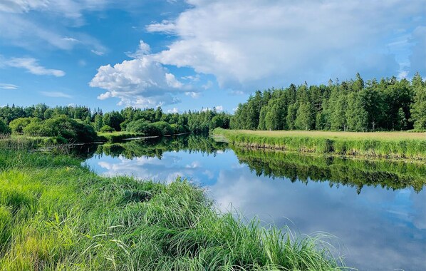 Een rustig meer, omgeven door weelderige begroeiing en bomen, met de lucht en wolken als spiegelbeeld.