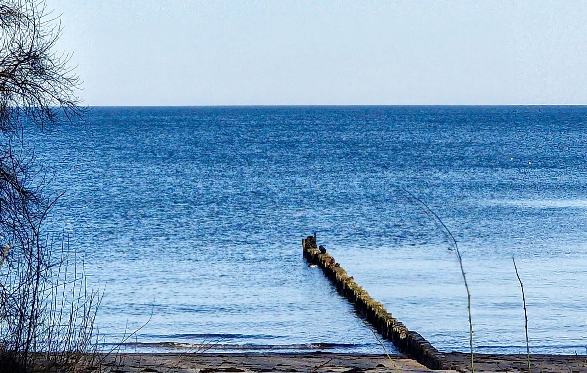 Paisaje costero con vista despejada al mar y un rompeolas largo y estrecho que se adentra en el agua.