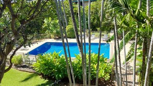 A swimming pool surrounded by lush greenery and a solar panel array.