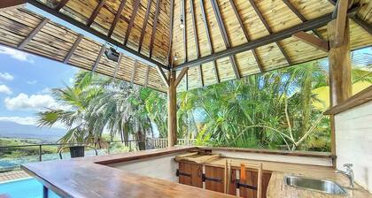 Verger suspendu â Huge villa with swimming pool â Ătang-SalĂ© les Hauts