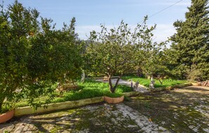 Property grounds - Lovely home in Altavilla Milicia (Altavilla Milicia)