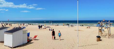 Vlak bij het strand, vissen
