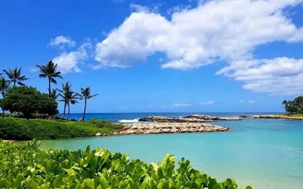 Perto da praia, espreguiçadeiras, toalhas de praia 