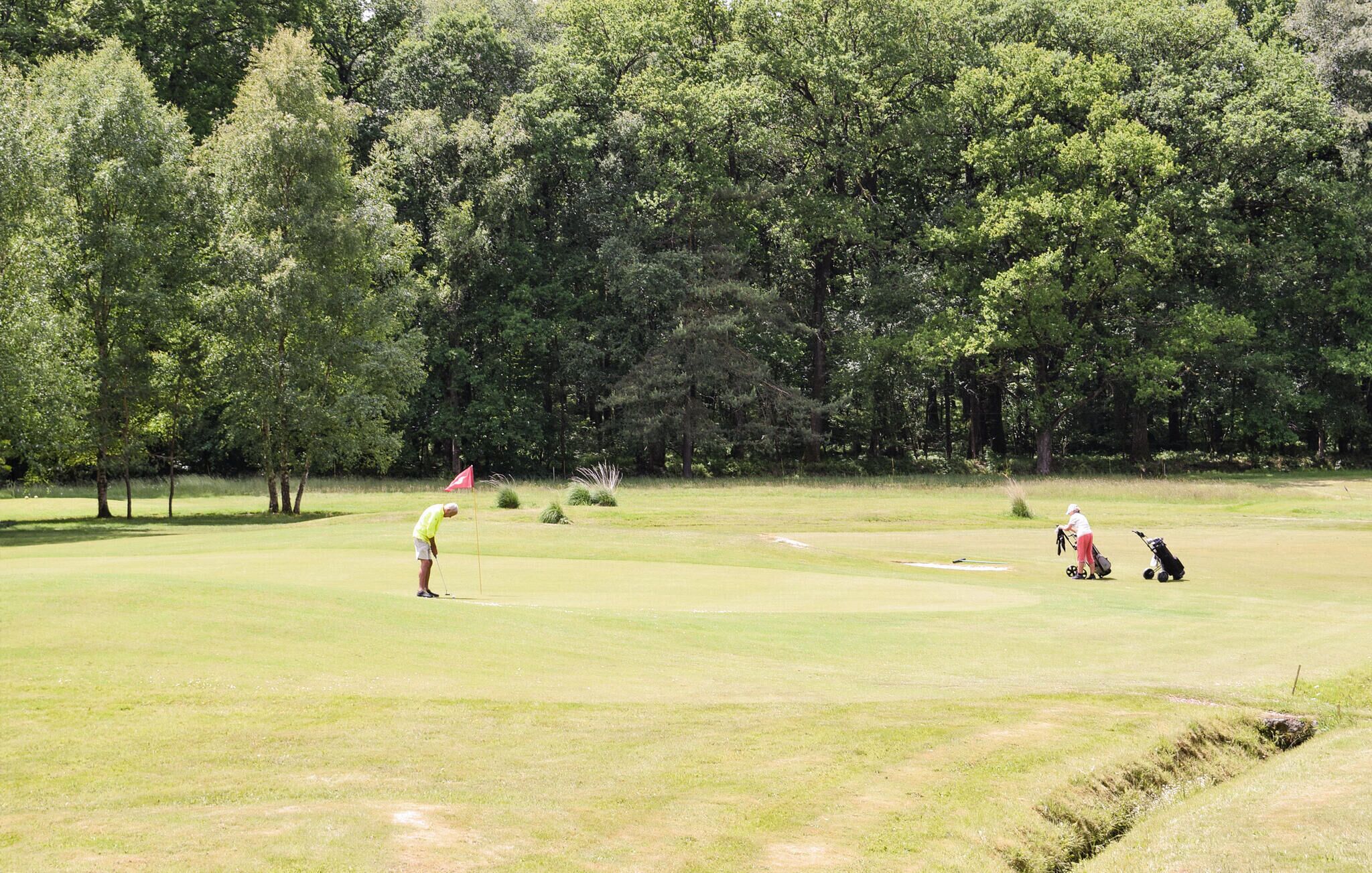 A golf course with a flag, trees, and a person preparing to putt.