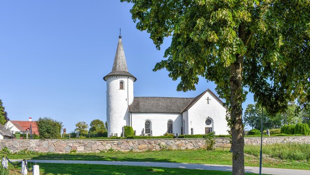 Eine Kirche mit hohem Turm und heller Fassade, umgeben von Grünpflanzen und einer Steinmauer.