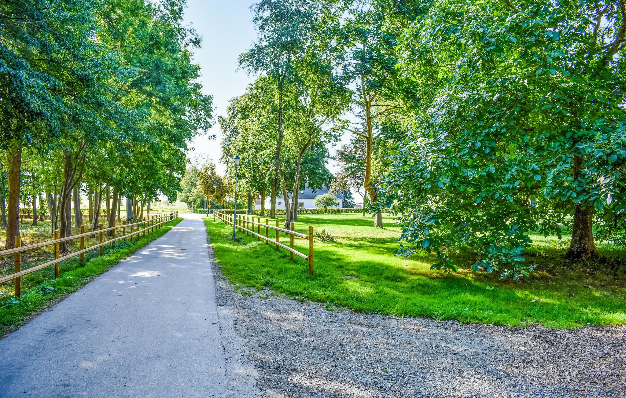 A paved pathway flanked by trees and a wooden fence, leading to a grassy area.