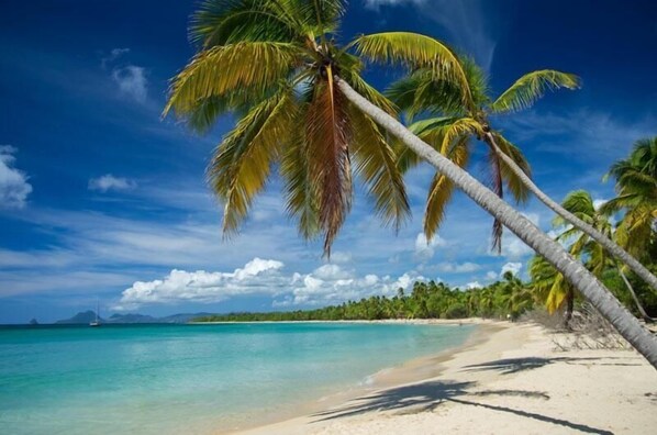 Enjoy a serene beach experience with turquoise waters and a sandy shore, surrounded by lush greenery and distant landforms.