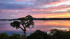Un lac paisible, avec un arbre au premier plan et un coucher de soleil en arrière-plan.