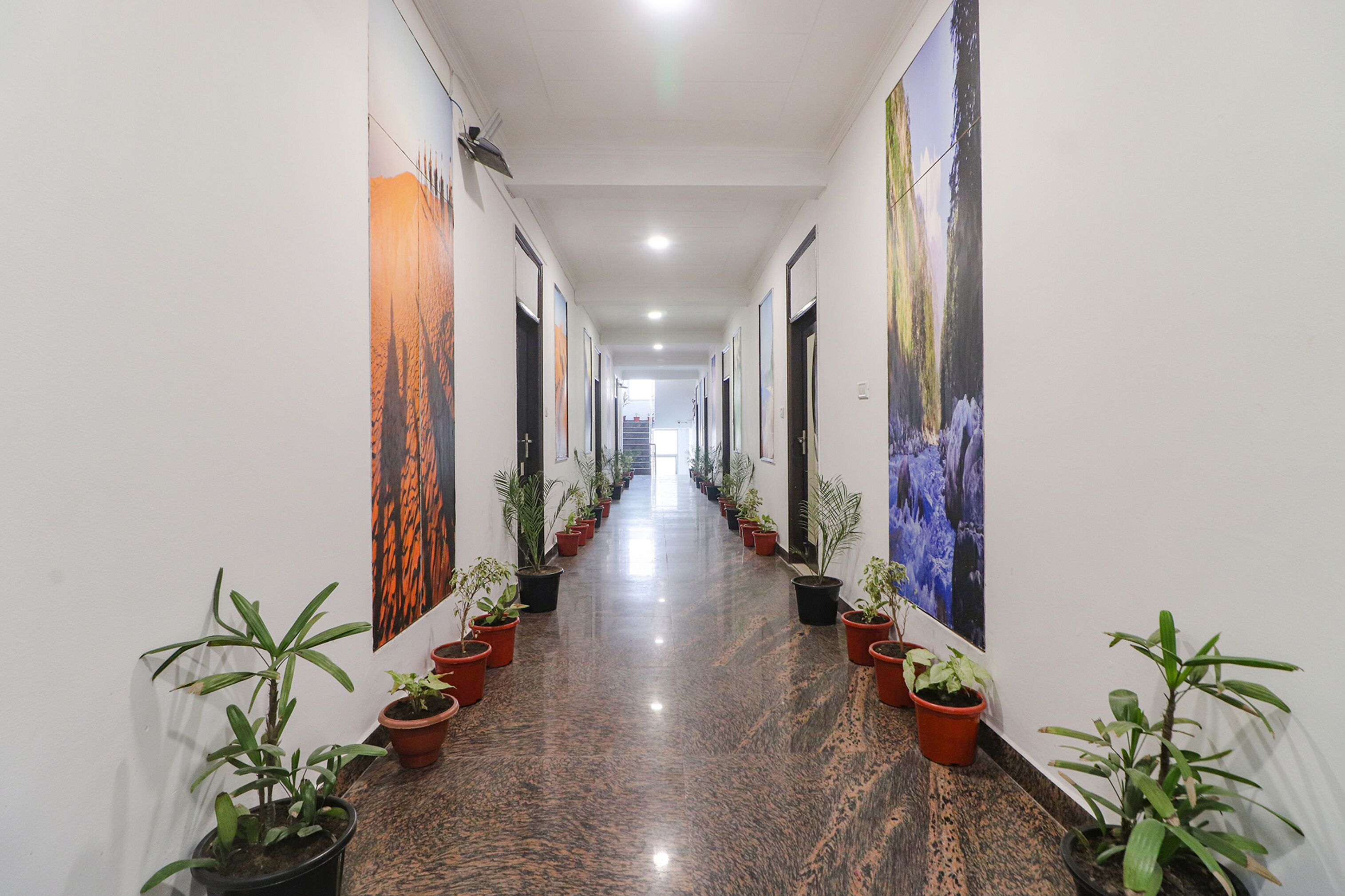 A long, well-lit hallway with a polished floor, flanked by potted plants and large framed pictures on the walls.