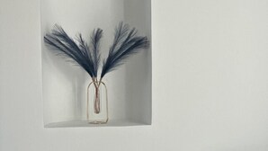 Une pièce avec un canapé bleu et une étagère fixée au mur, sur laquelle est posé un vase contenant des plumes bleues.