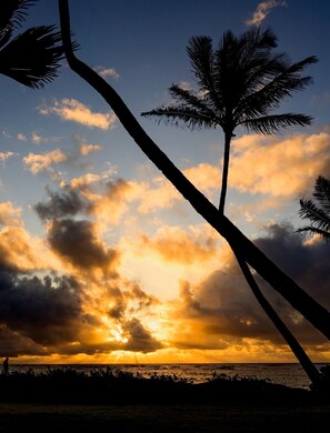 Beach/ocean view