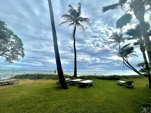 Property grounds - Delightful Oceanfront Condo! 2BR (Kapaʻa)