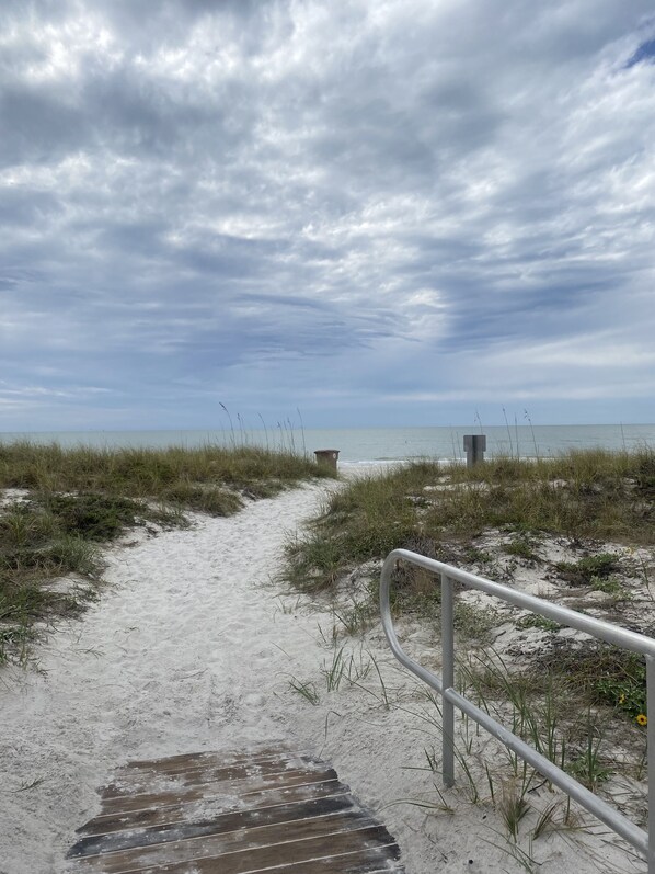 Chaises longues, serviettes de plage