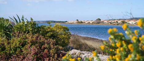 Una spiaggia nelle vicinanze