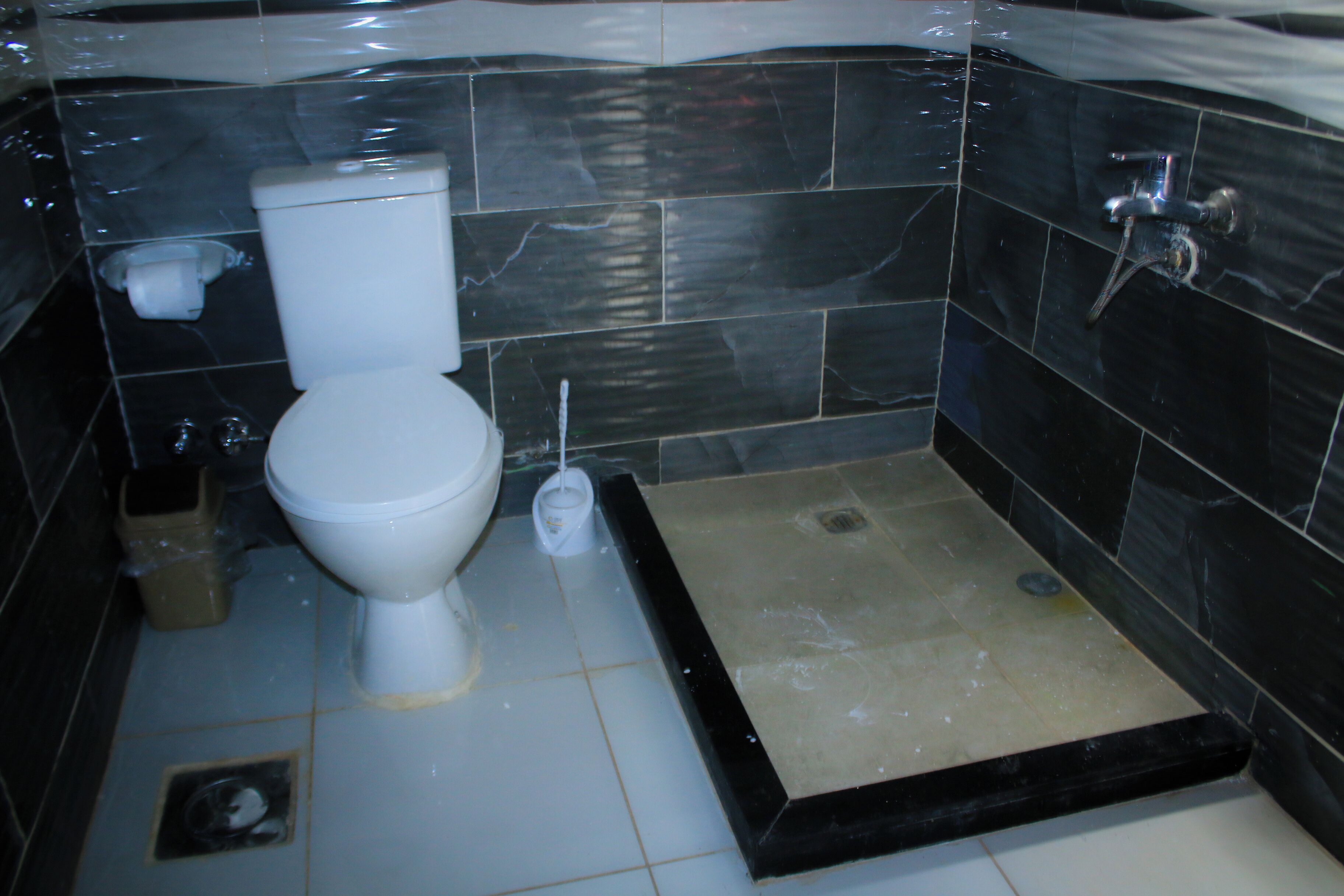 Un baño con inodoro, bidé y zona de ducha.