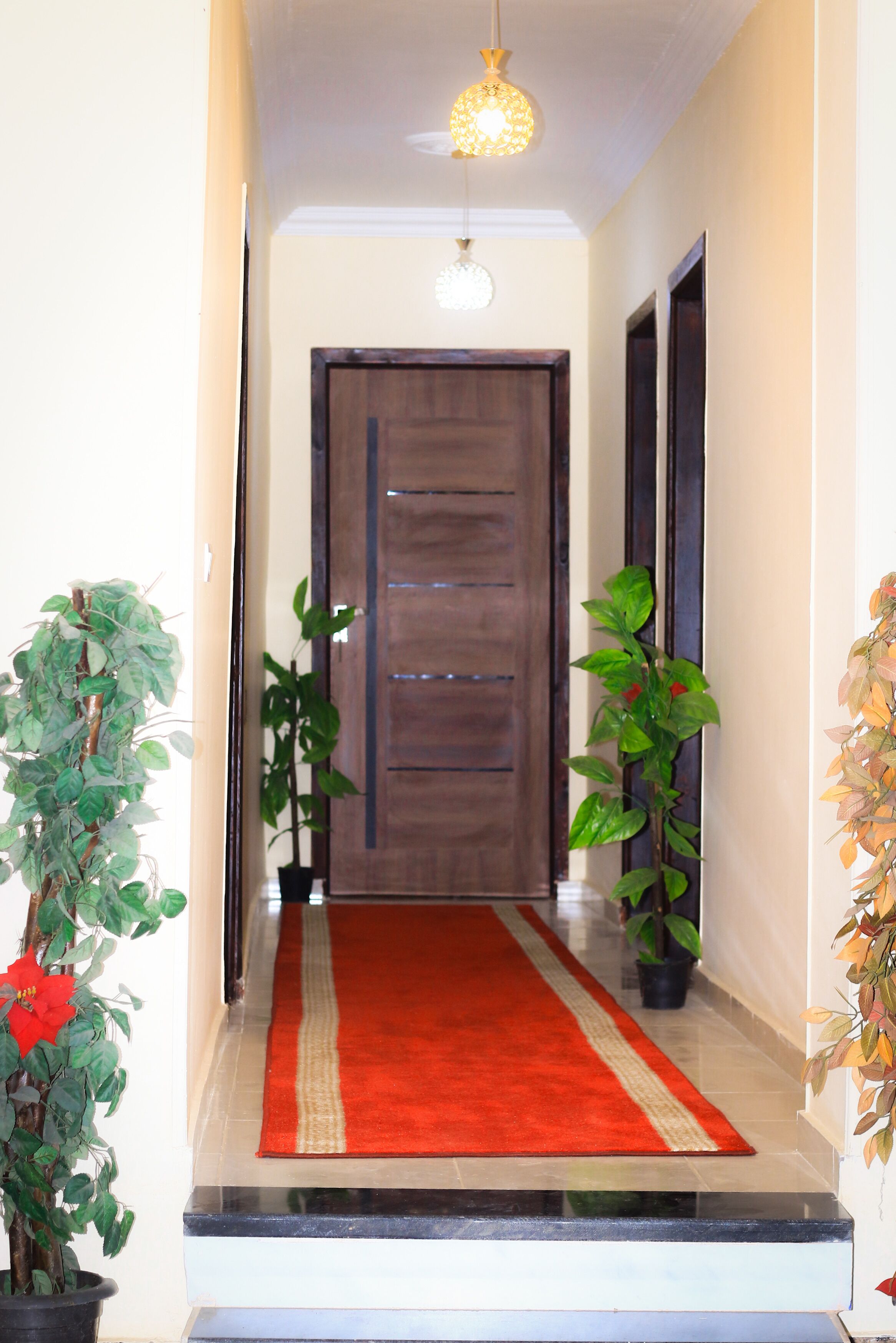 Un couloir avec un tapis rouge, une porte en bois et des plantes en pot.
