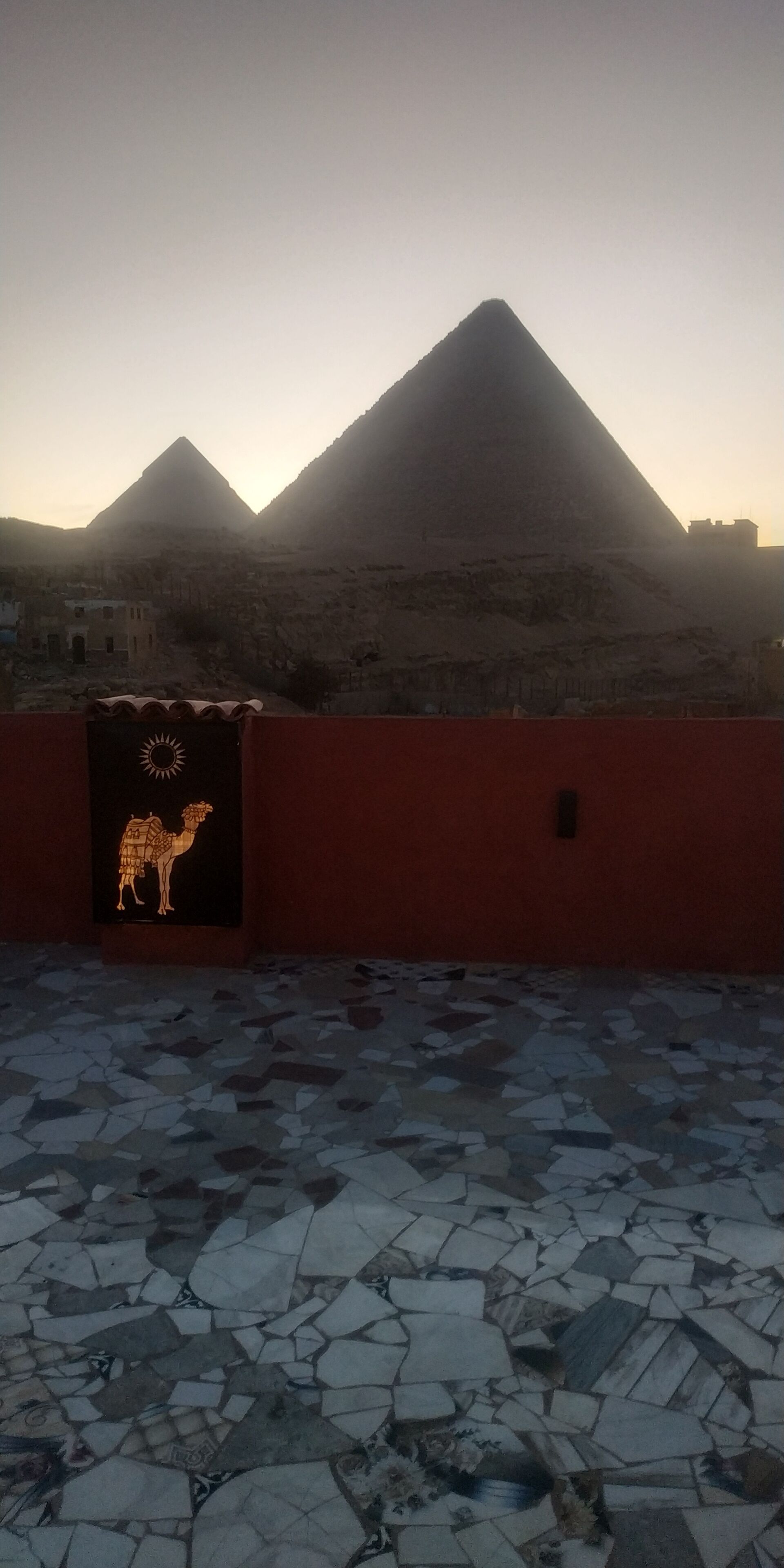 Un sol carrelé avec une illustration représentant un chameau sur un mur.