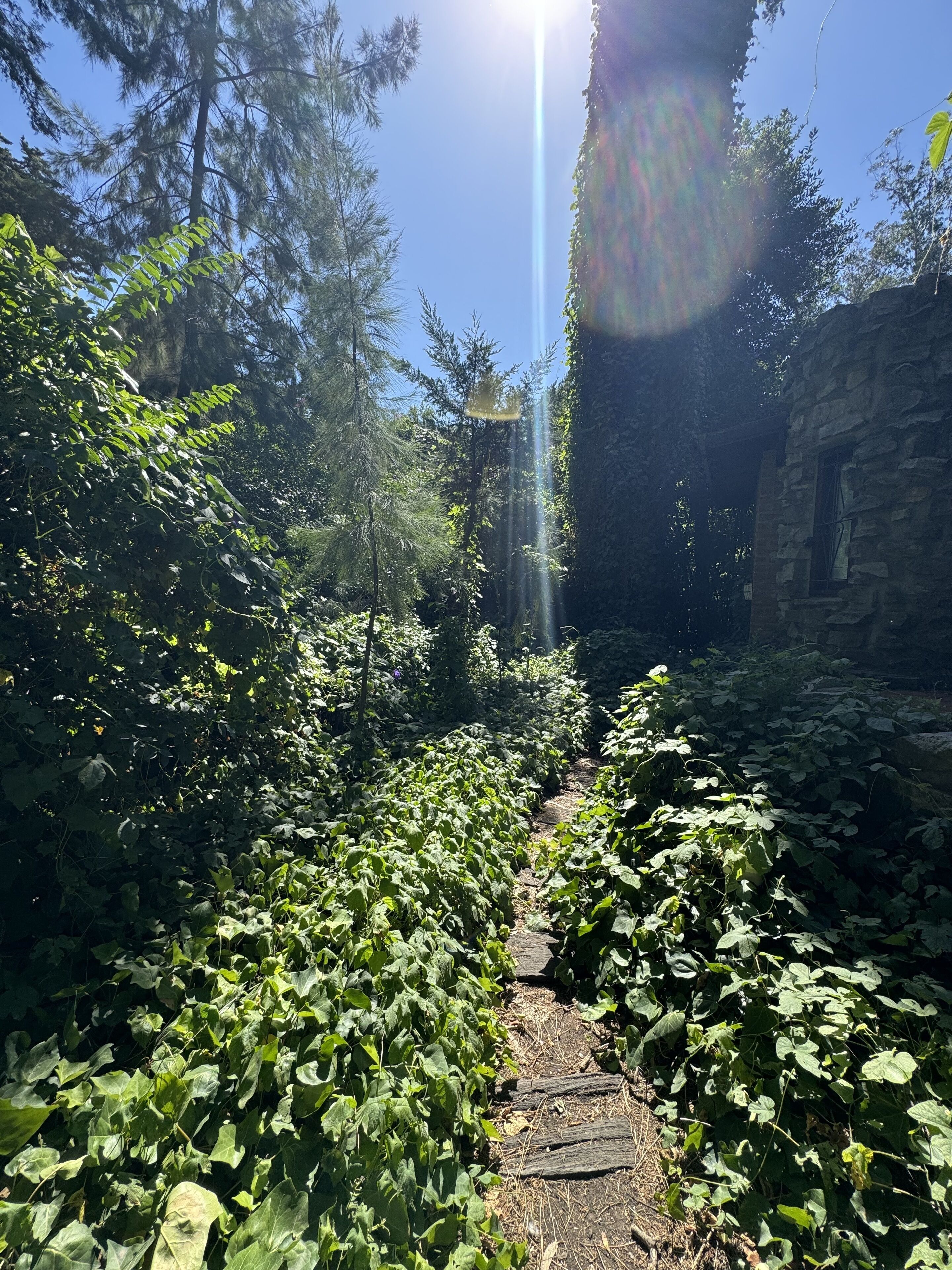 Photo - Cabañas Arehue