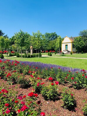 Terrein van de accommodatie