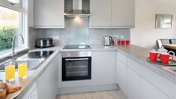 Fridge, oven, stovetop, toaster