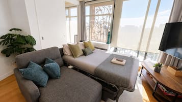 Smart TV, books, video library