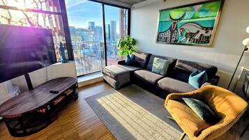 Smart TV, books, video library