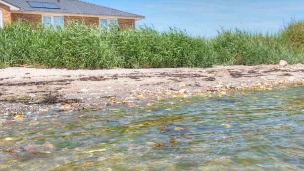 Una casa vicino a un ruscello limpido, con una riva sabbiosa e vegetazione fitta.