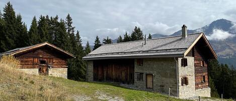 A rustic mountain cabin with a gravel path leading to it, surrounded by trees and mountains.