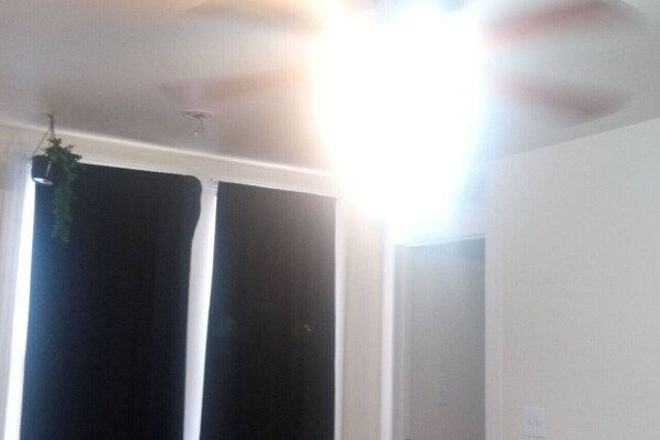 A room with a large window, a hanging plant, and a visible light switch on the wall.